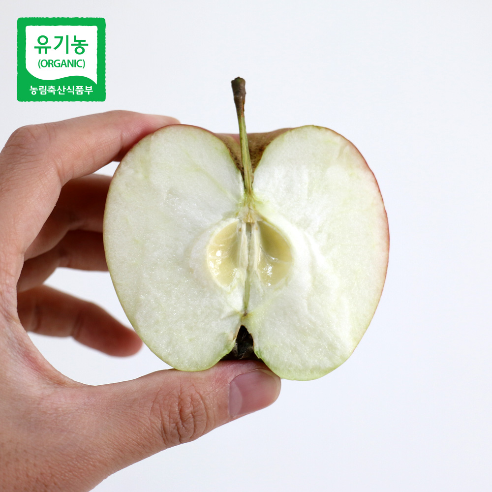 [예약발송/희황농장] 껍질이 씹히지 않는 유기농 사과 (아오리)  1.5Kg