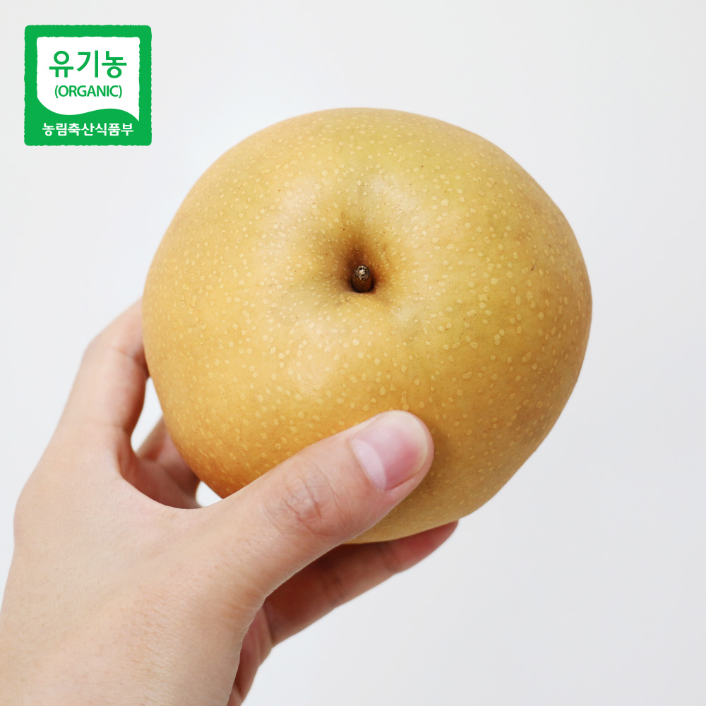 [참한농원] 유기농 배 (상)품 7.5Kg